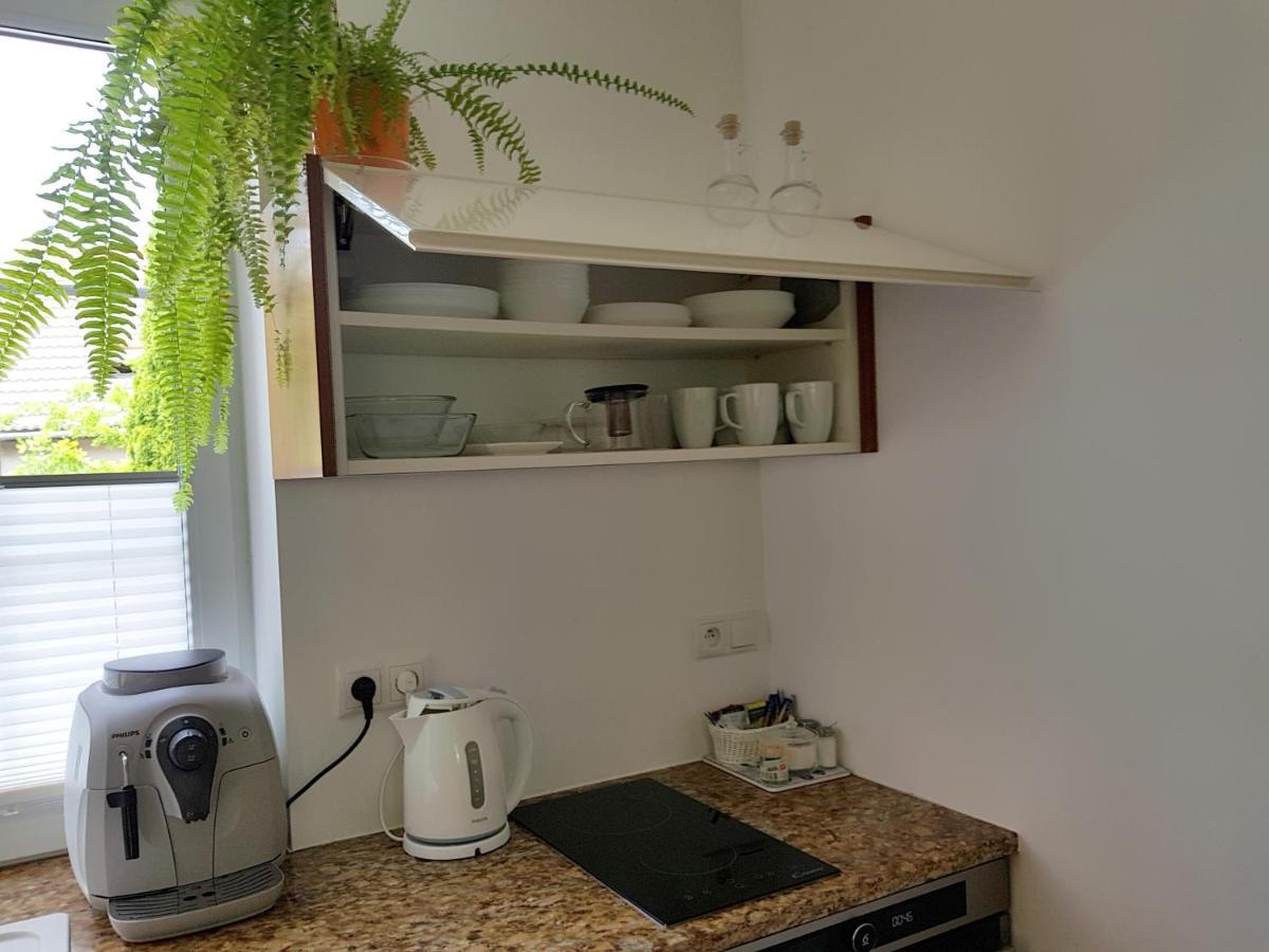 Pod Modrzewiami Daire Krynica Zdroj Dış mekan fotoğraf